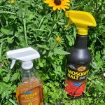 Program Hadiah Farnam Baru – Blog Kuda Backyard