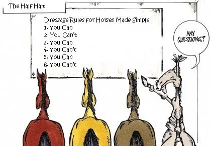 Apa yang memotivasi kuda? – Menunggang kuda yang bagus