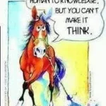 Saya mempelajarinya dari kuda – menunggang kuda yang bagus