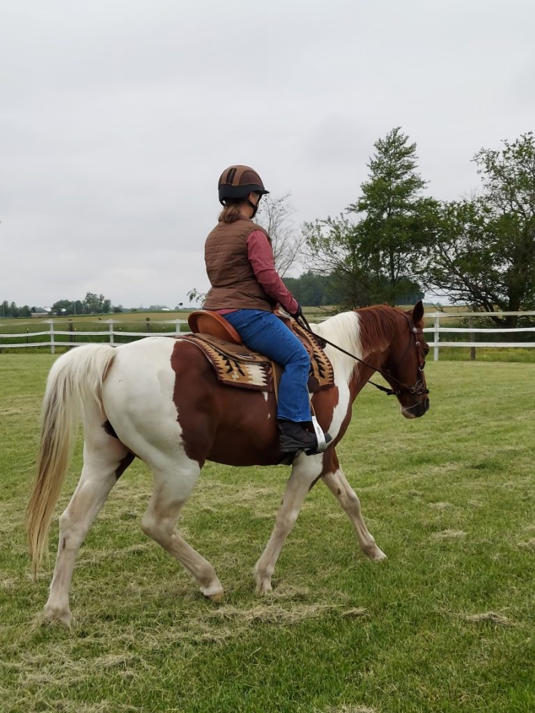 Pembaruan Berkuda- Mei 2025- Blog Kuda Backyard